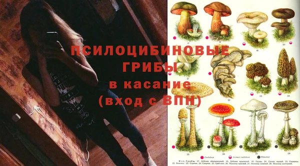 круглые Белокуриха
