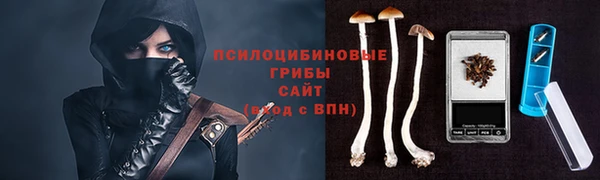 круглые Белокуриха