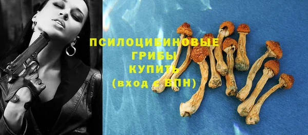 круглые Белокуриха