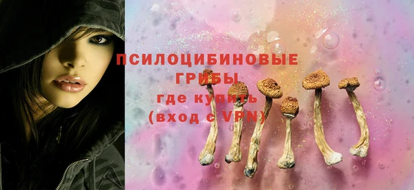 круглые Белокуриха
