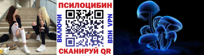 ссылка на мегу зеркало  Белоозёрский  Псилоцибиновые грибы Cubensis  где можно купить  